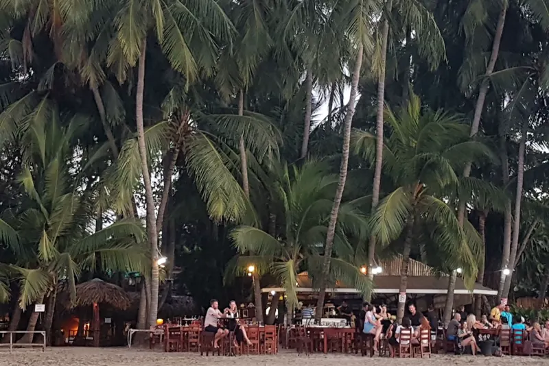 Hotel La Palapa